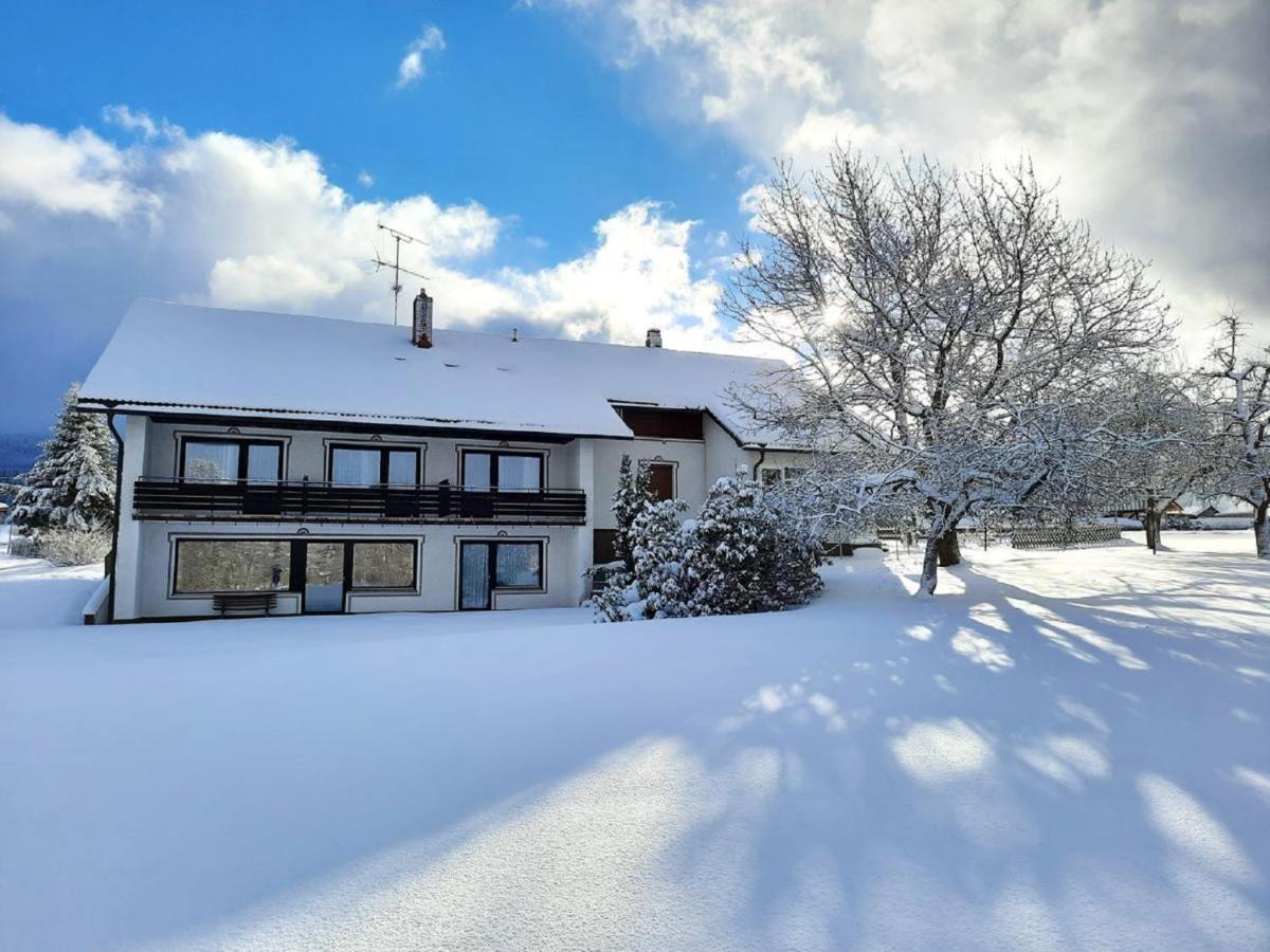 Pension Schneider フラウエナウ エクステリア 写真